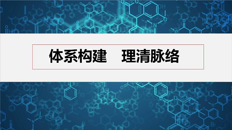 体系构建　体验高考第4页