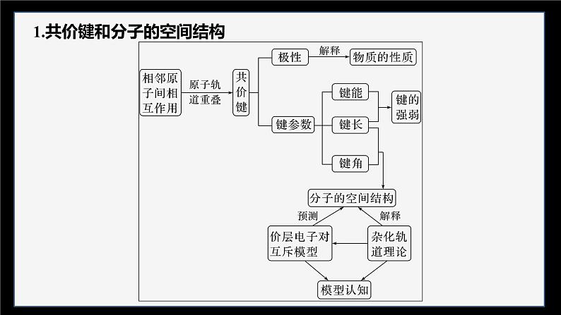 体系构建　体验高考第5页