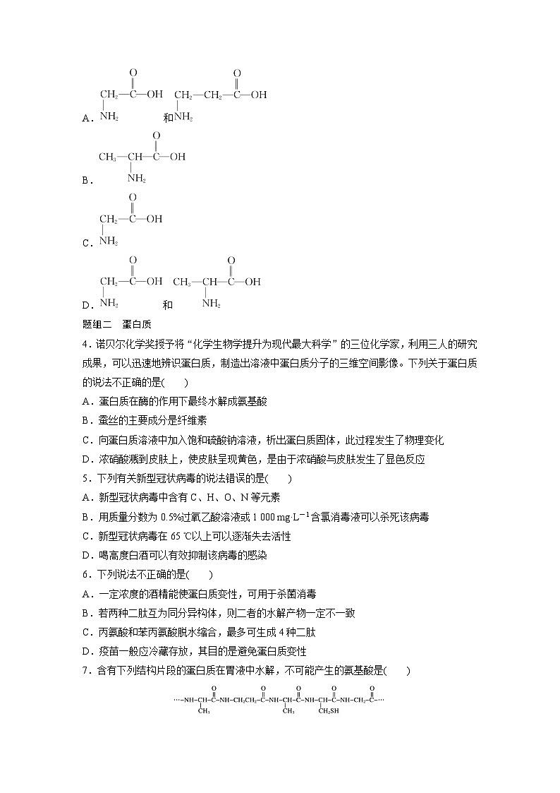 第四章 第二节　蛋白质（专练）第2页