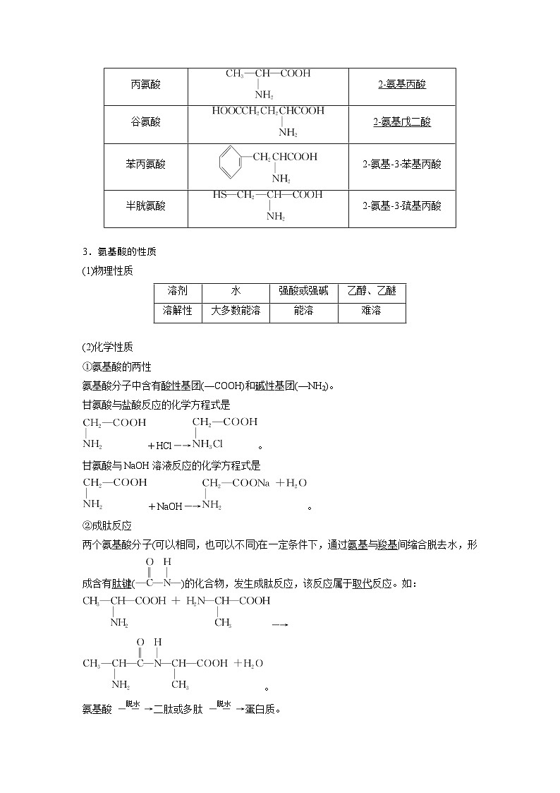 第四章 第二节　蛋白质（教师版）第2页