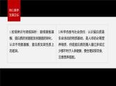 第四章 第二节　蛋白质--人教版高中化学选择性必修第三册同步课件+讲义+专练（新教材）