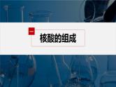 第四章 第三节　核酸--人教版高中化学选择性必修第三册同步课件+讲义+专练（新教材）