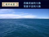 人教版 (新課標(biāo))高中化學(xué)必修1 4-2《富集在海水中的元素——氯》課件