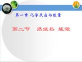 人教版 (新課標(biāo))高中化學(xué)選修4 1-2《燃燒熱__能源》課件