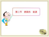 人教版 (新課標(biāo))高中化學(xué)選修4 1-2《燃燒熱_ 能源》課件