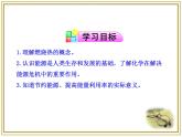 人教版 (新課標(biāo))高中化學(xué)選修4 1-2《燃燒熱_ 能源》課件
