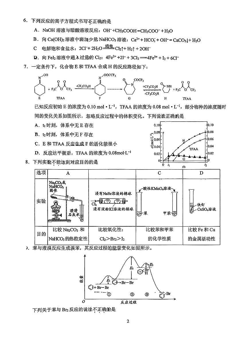 2025北京人大附中朝阳学校高三（下）统练十一化学第2页