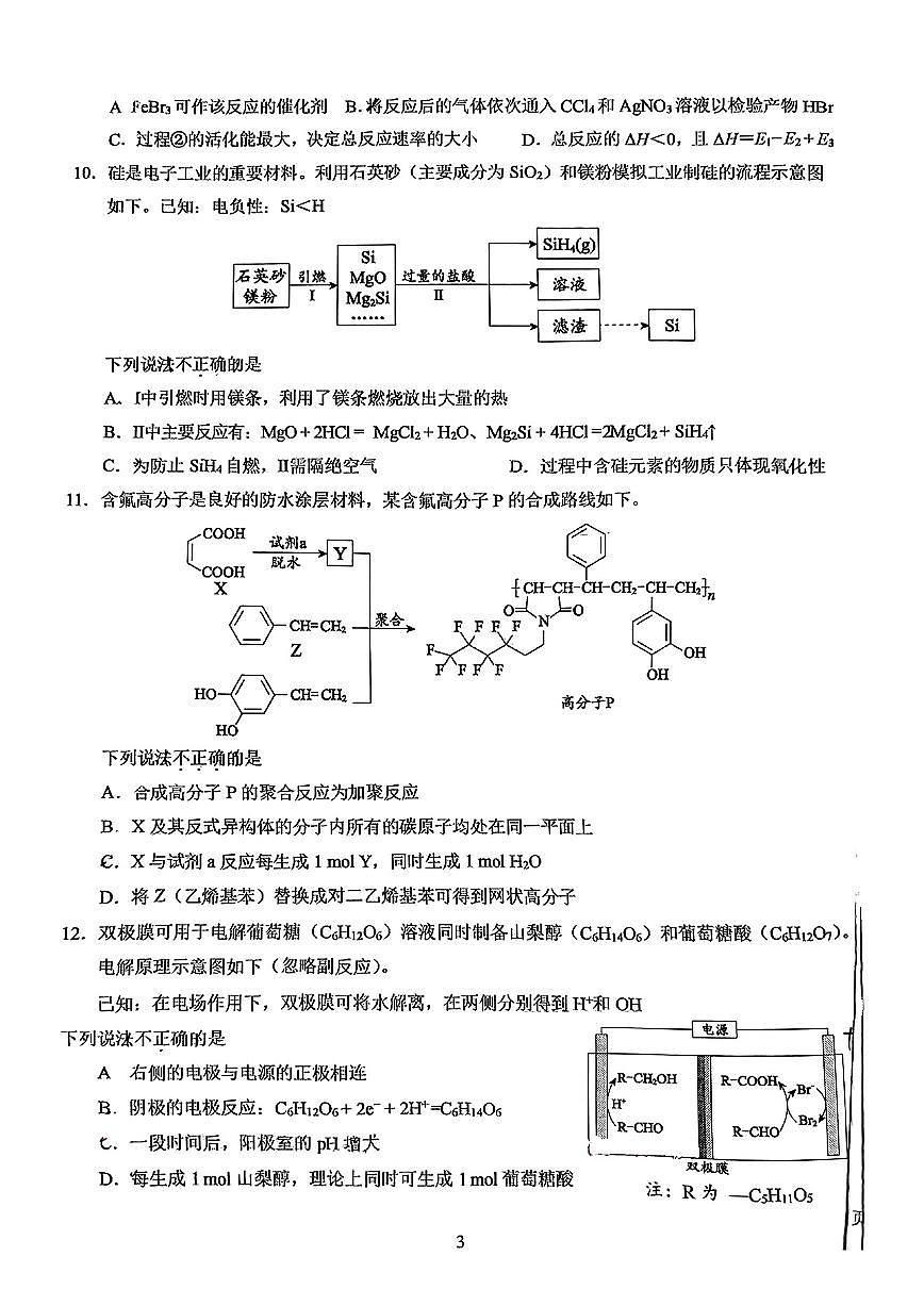 2025北京人大附中朝阳学校高三（下）统练十一化学第3页