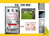 蘇教版高中化學(xué)必修 第二冊7-3《含氮化合物的合理使用_銨鹽》課件