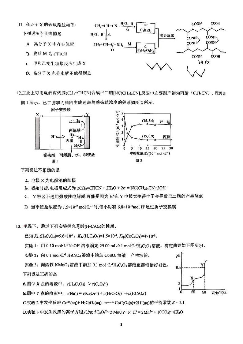 2025北京东直门中学高三（下）开学考化学试卷第3页