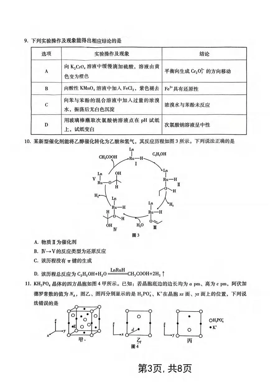 2025届重庆八中高三下学期2月月考化学试题第3页