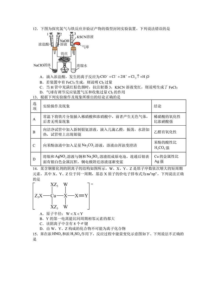 2024～2025学年广东省深圳市高级中学高三下开学考试化学试卷(含答案)第3页