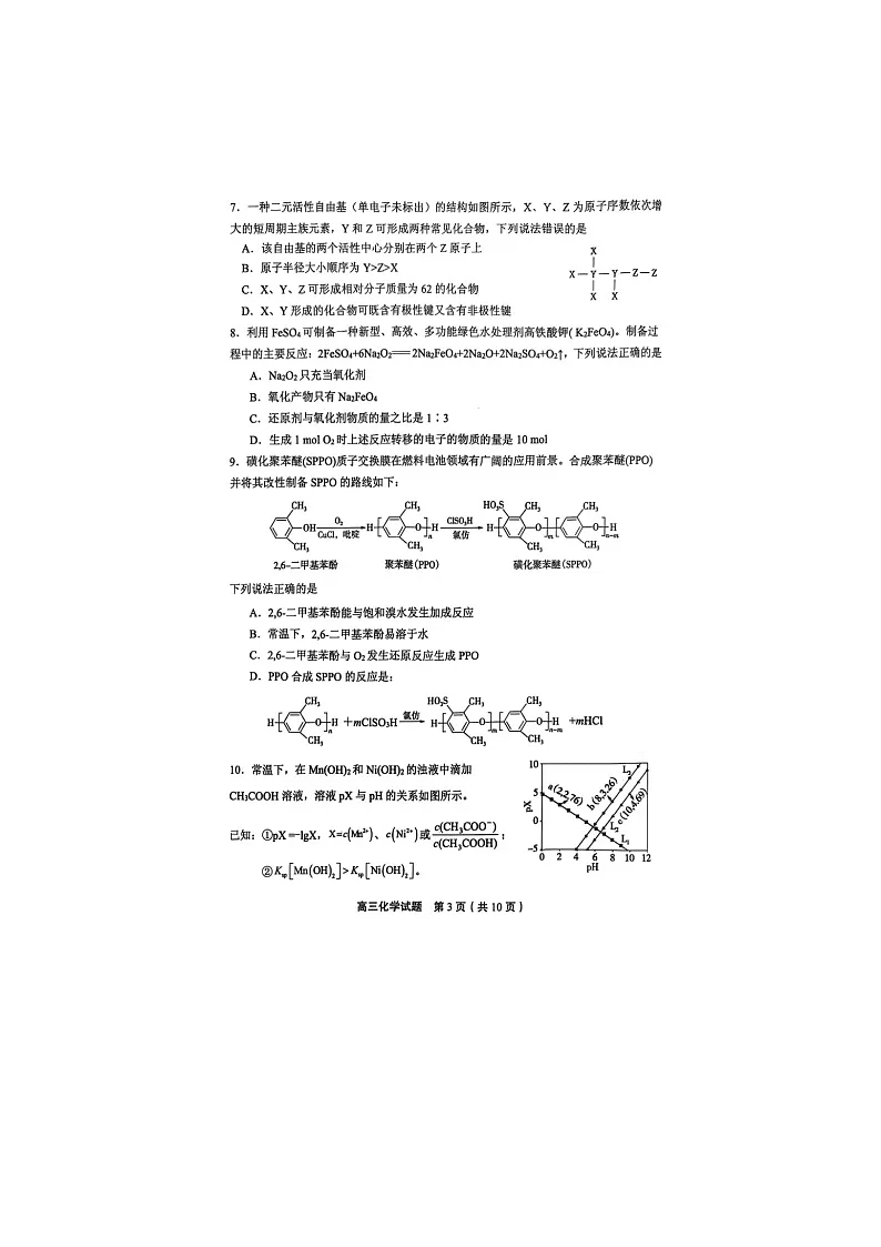2024-2025学年下学期2025届山东省实验中学高三第四次诊断考试化学试卷含答案第3页