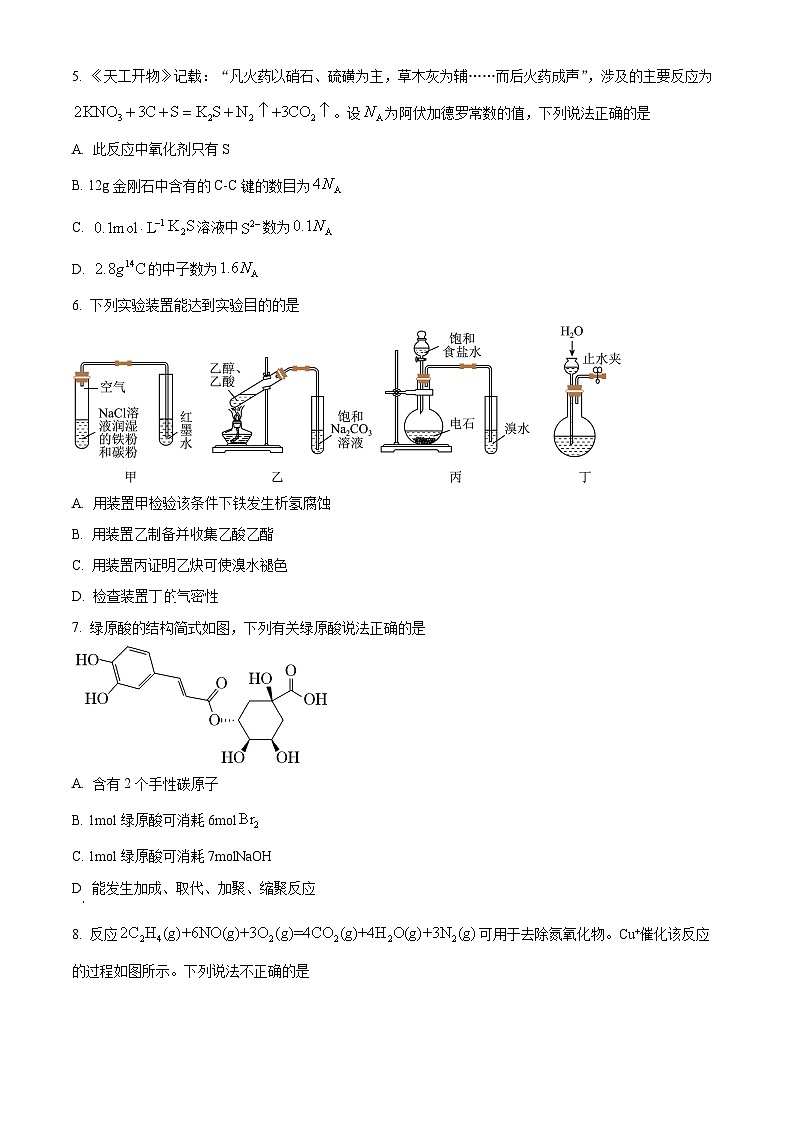 天津市五区县重点校2024-2025学年高三上学期1月期末化学试题  Word版无答案第2页