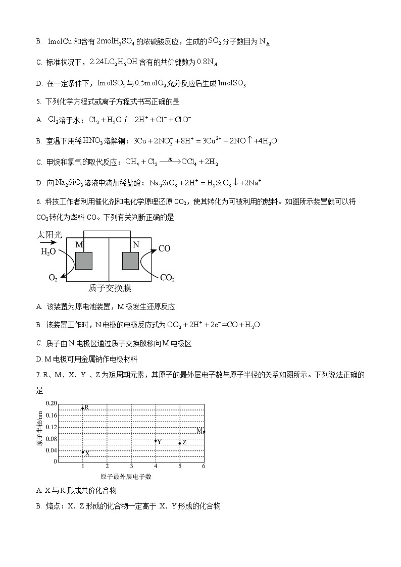  四川省自贡市荣县中学校2024-2025学年高二上学期入学考试 化学试题（原卷版）第2页