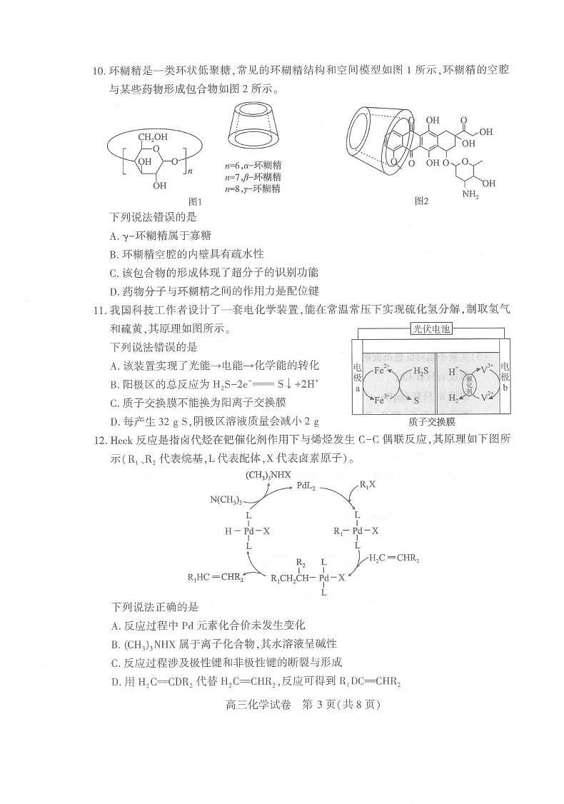 化学丨湖北省武汉市2025届高三下学期二月调研考试（武汉二调）化学试卷及答案第3页