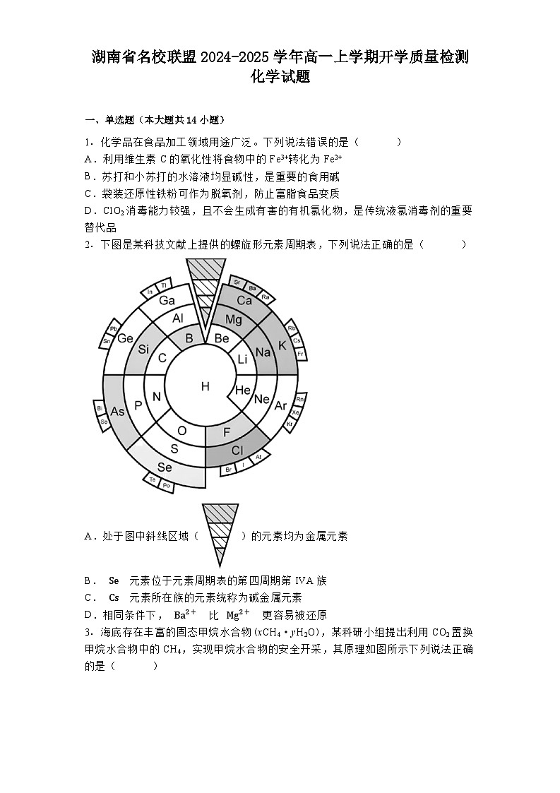 湖南省名校联盟2024-2025学年高一上学期开学质量检测 化学试题（含解析）第1页