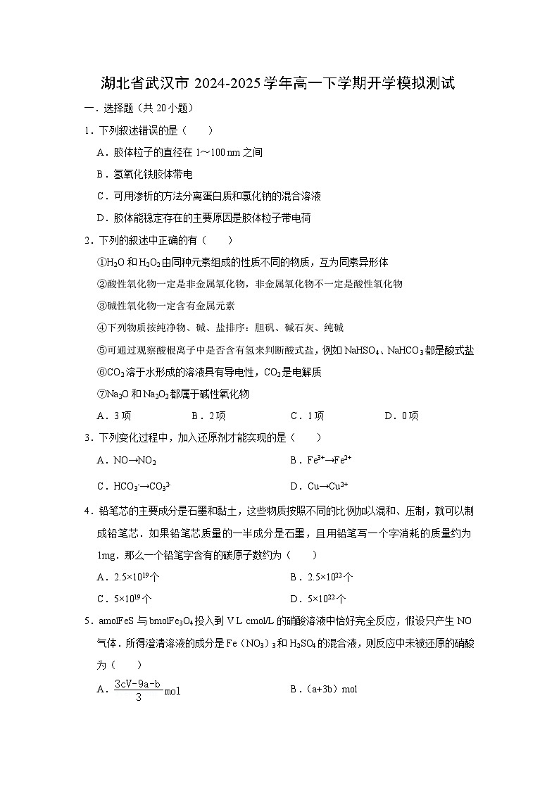 2024~2025学年湖北省武汉市高一下学期开学模拟测试化学试卷（解析版）第1页