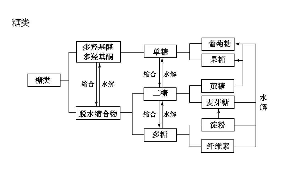2025春高二化学人教版选择性必修3教学课件 第四章章末总结第3页