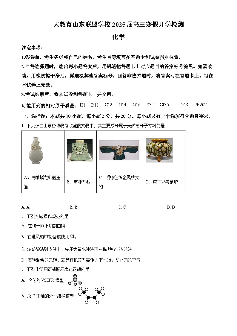 山东省大教育联盟学校2024-2025学年高三下学期开学检测化学试题（原卷版+解析版）第1页