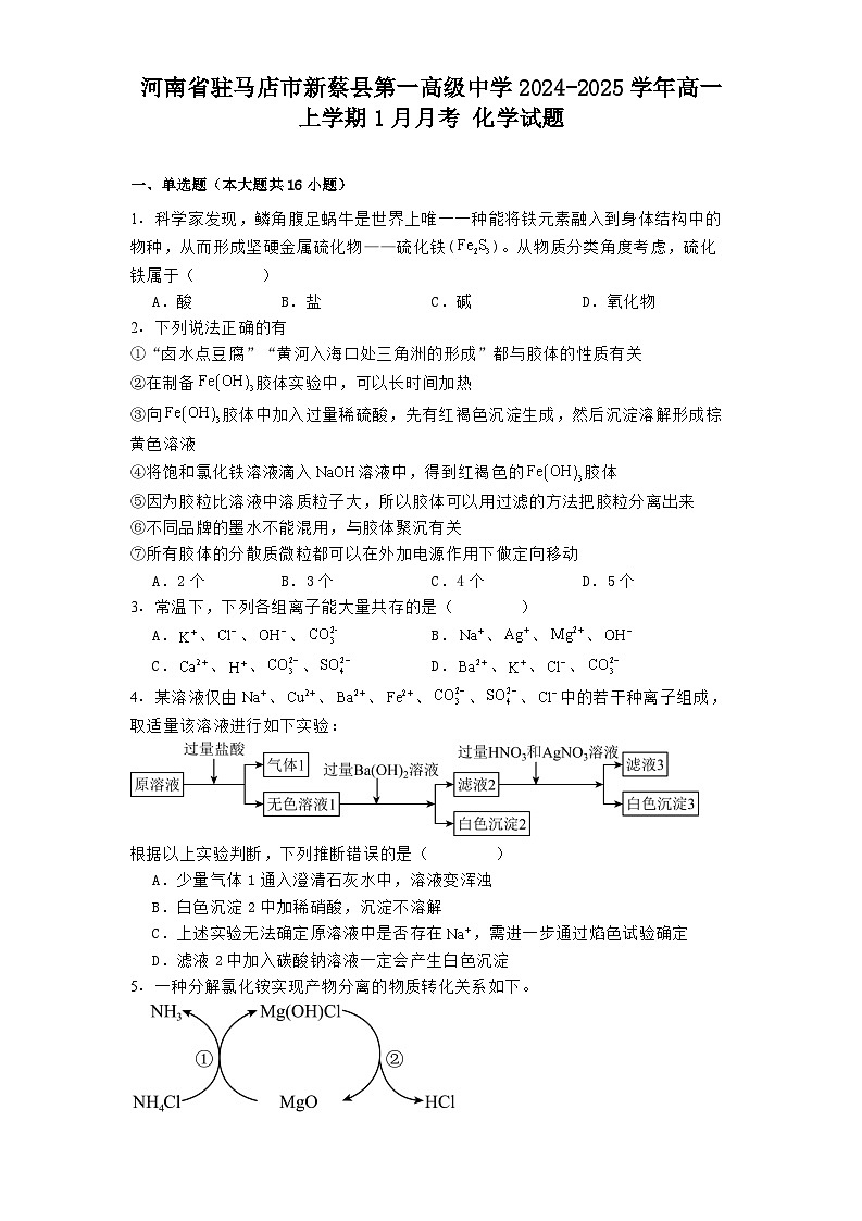 河南省驻马店市新蔡县第一高级中学2024-2025学年高一上学期1月月考 化学试题【含答案】第1页