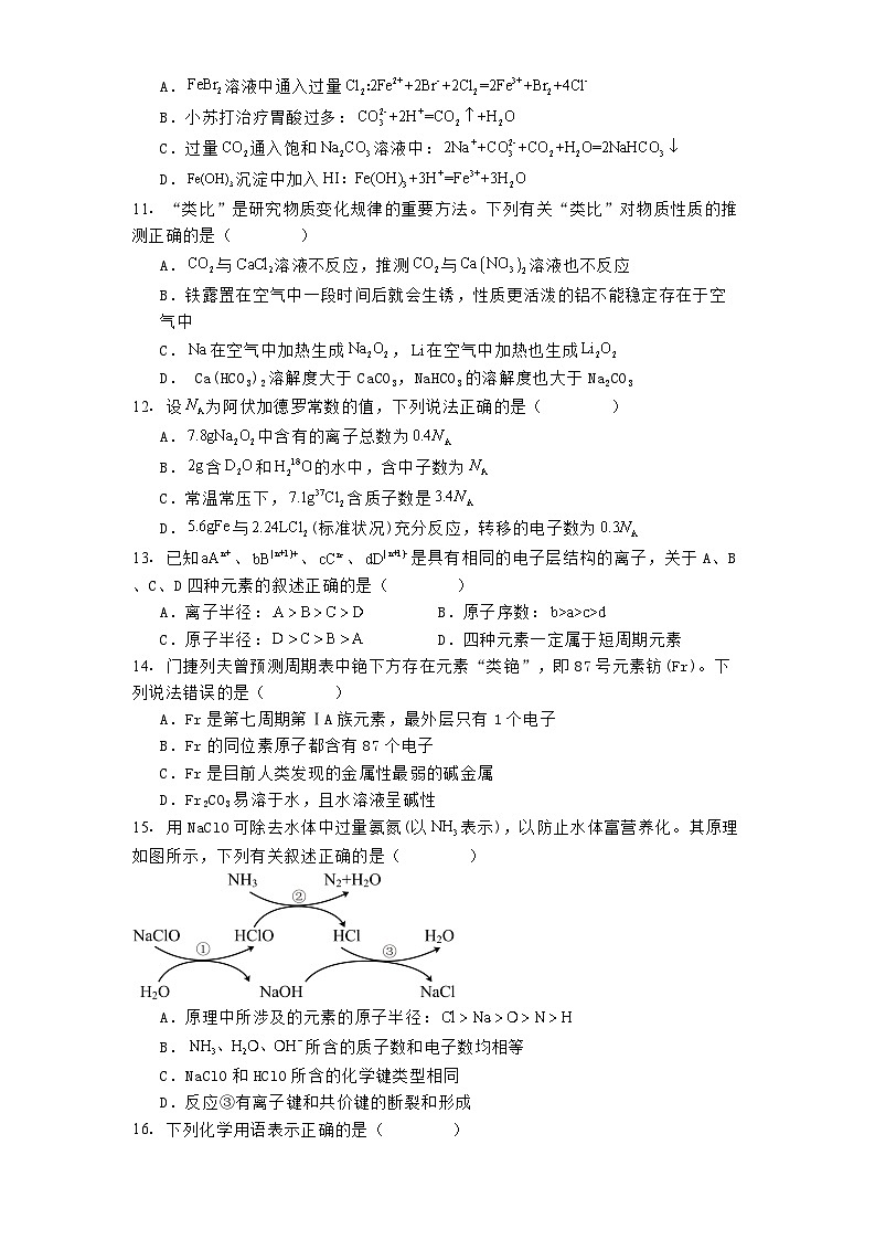 河南省驻马店市新蔡县第一高级中学2024-2025学年高一上学期1月月考 化学试题【含答案】第3页