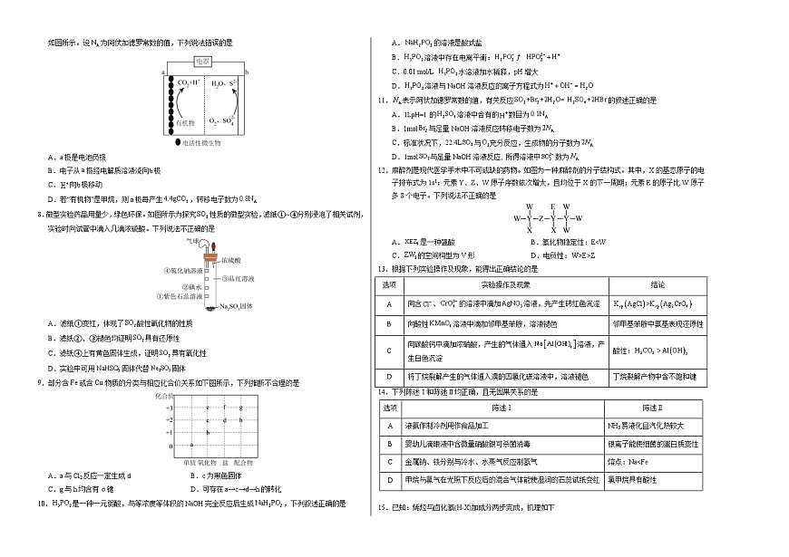 化学01（广东卷）（考试版A3）第2页