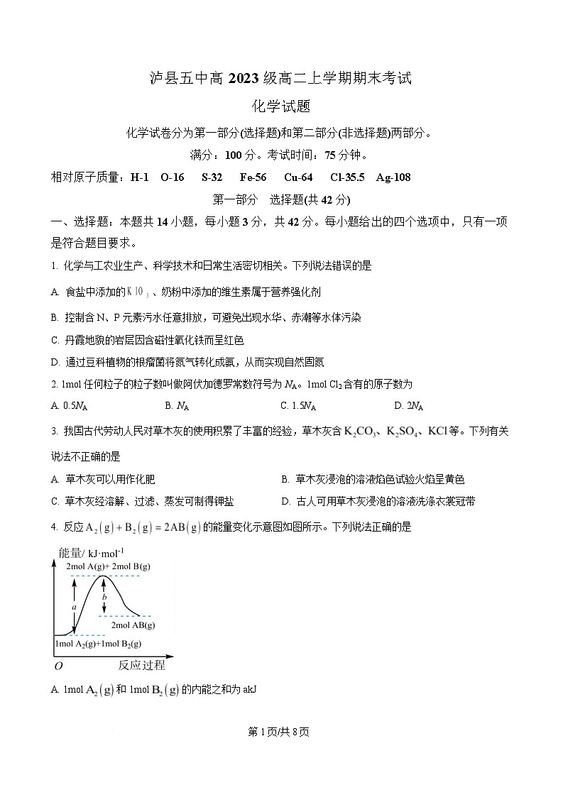 四川省泸州市泸县第五中学2024-2025学年高二上学期1月期末考试 化学试题（原卷版）第1页