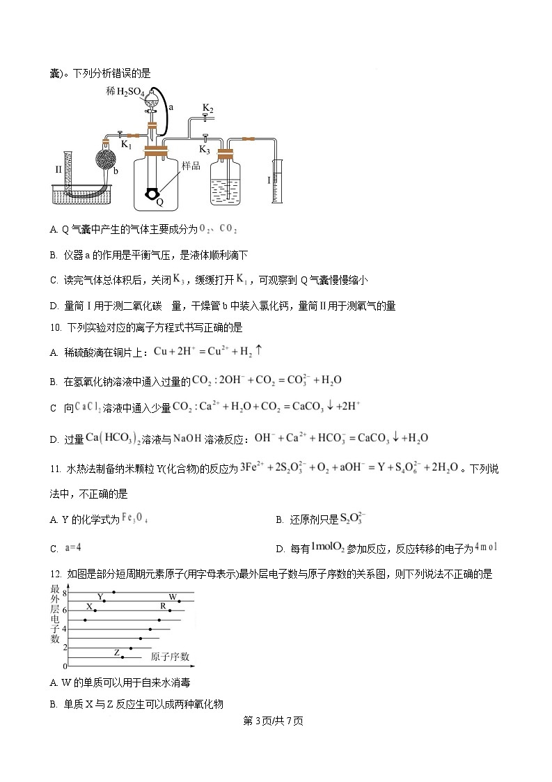 重庆市杨家坪中学2024-2025学年高一上期第二次月考化学试卷（原卷版）第3页