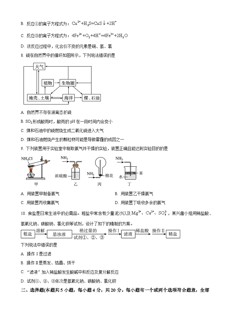 山东省枣庄市第八中学2024-2025学年高一上学期期末化学试题（原卷版+解析版）第3页