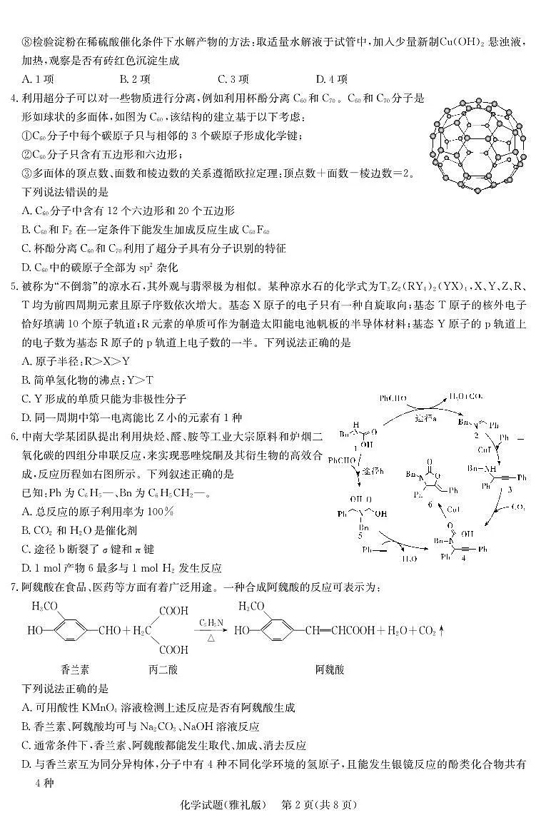 湖南省长沙市雅礼中学2024-2025学年高三下学期月考卷（七）化学试题第2页