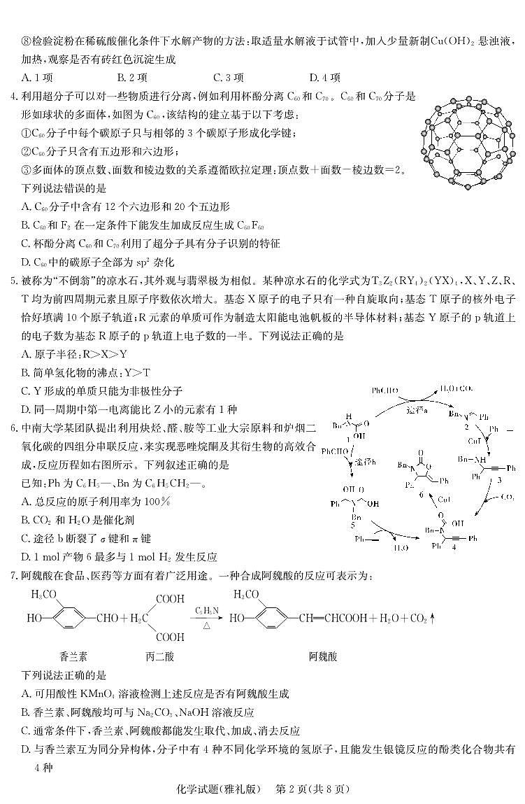 湖南省长沙市雅礼中学2024-2025学年高三下学期月考卷（七）化学试题第2页