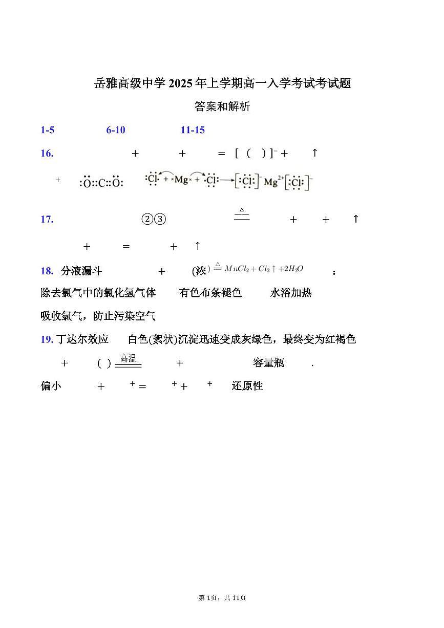湖南省岳阳市岳阳县岳雅学校2024-2025学年高一下学期开学考化学试题 入学考化学题答案第1页