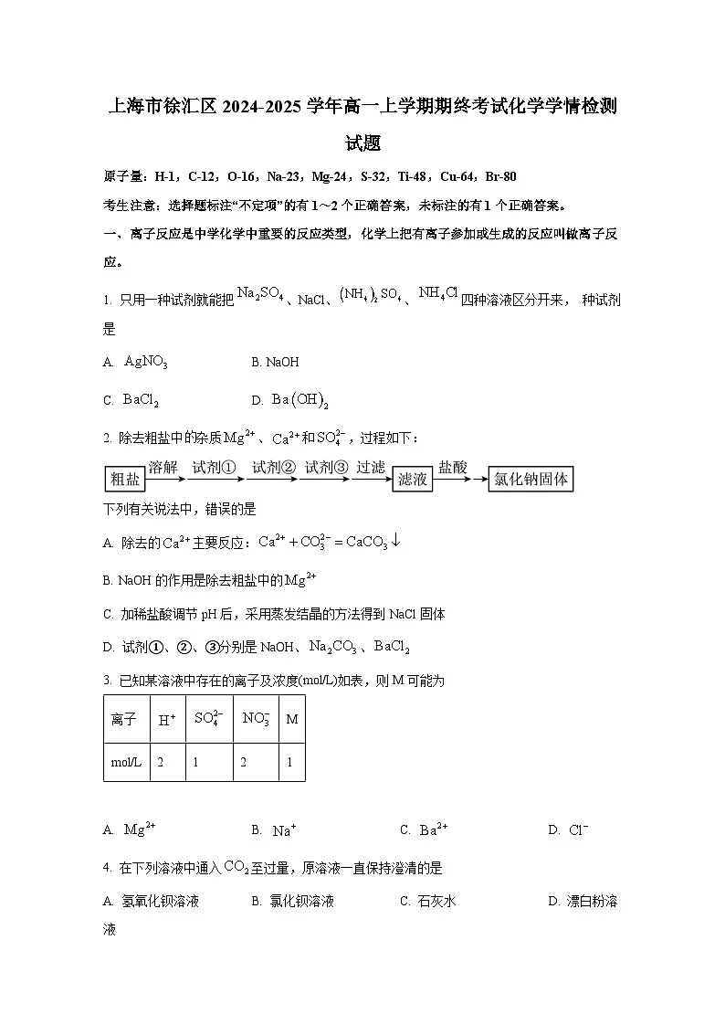 上海市徐汇区2024-2025学年高一上册期终考试化学学情检测试题（附答案）第1页