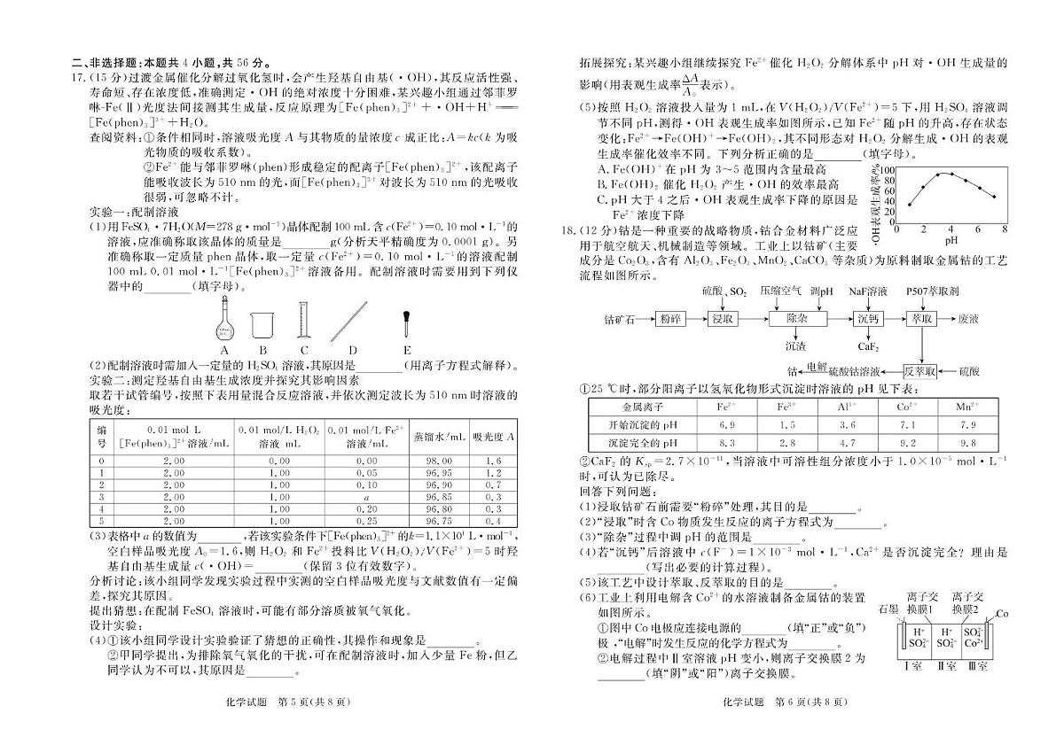 2025年湛江市高三第一次调研考试化学试卷（含答案）第3页