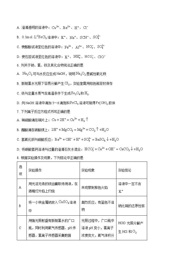 广东省深圳市2024-2025学年高一上册12月月考化学质量检测试卷（附答案）第2页