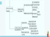 蘇教版高中化學(xué)必修2 7-3《氮與社會課持續(xù)發(fā)展》參考復(fù)習(xí)課件