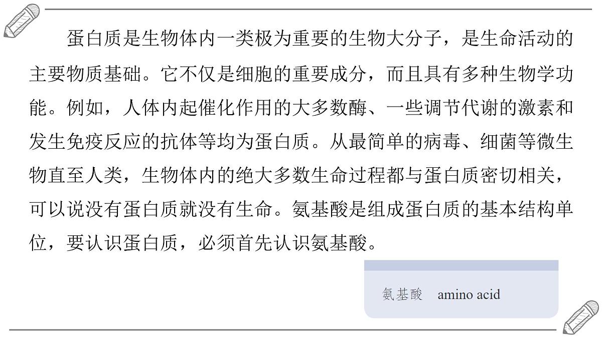 2024-2025学年高二化学选择性必修3人教版课件 4.2 蛋白质第2页