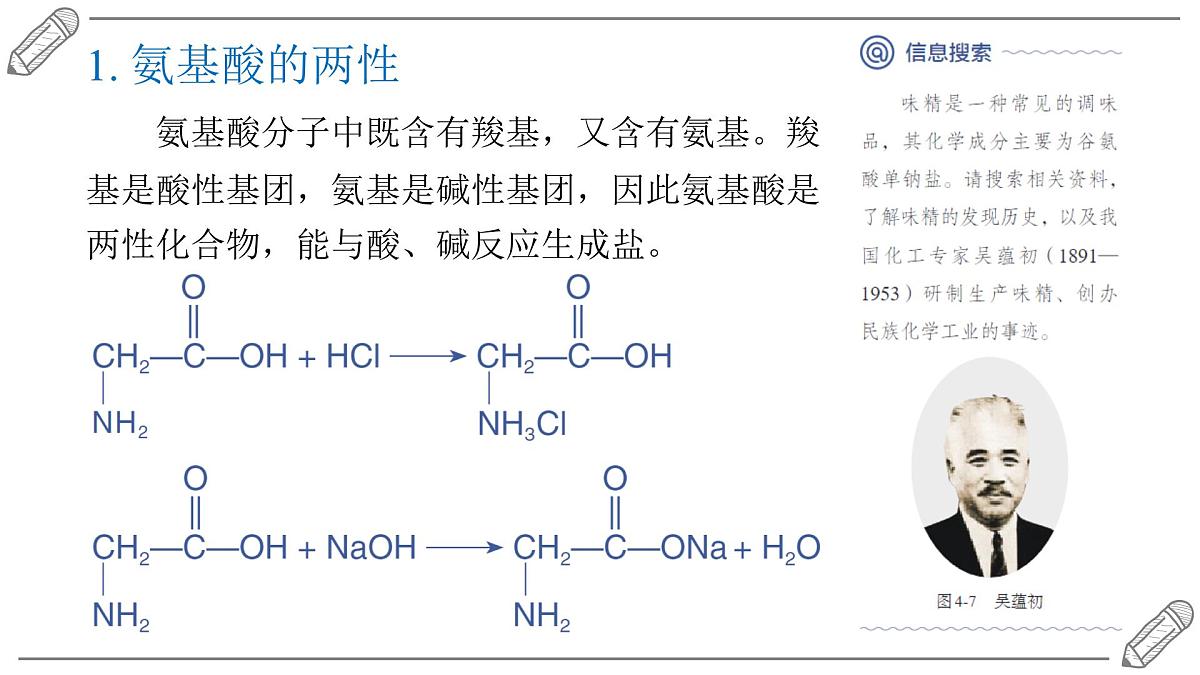2024-2025学年高二化学选择性必修3人教版课件 4.2 蛋白质第5页