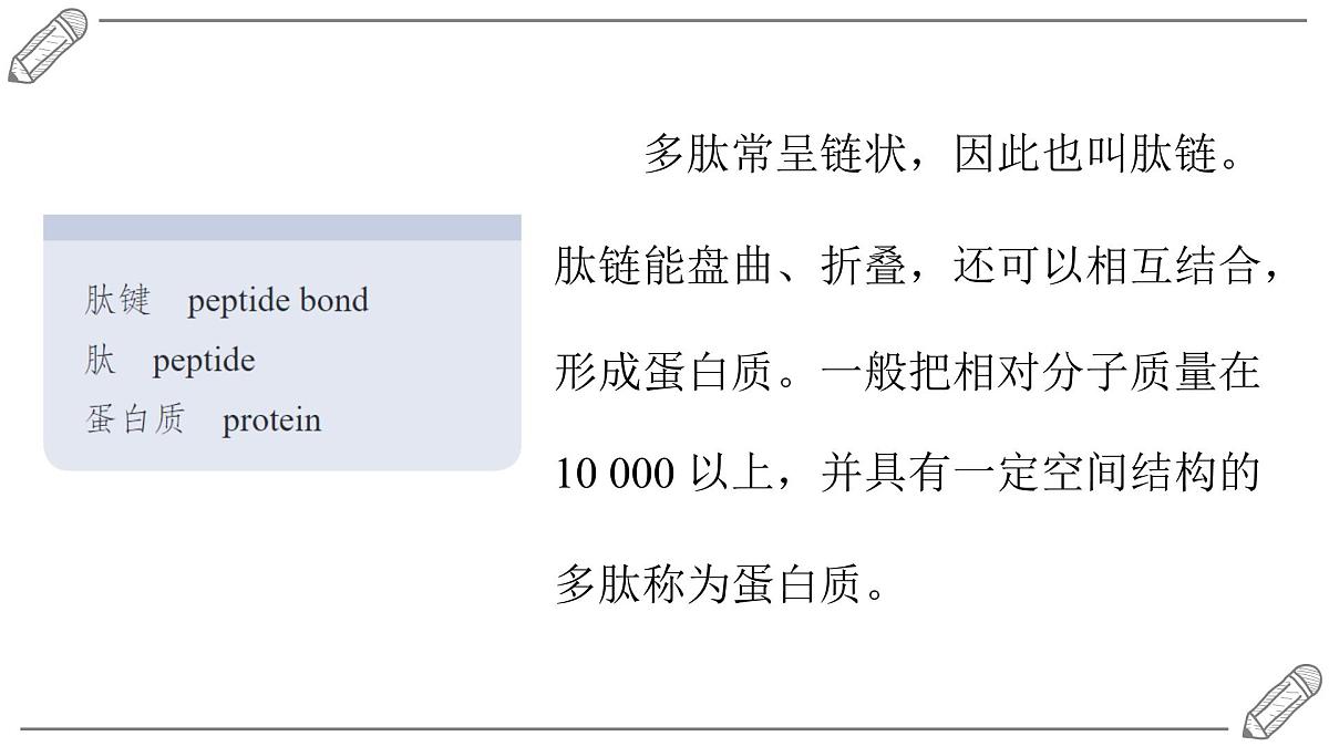 2024-2025学年高二化学选择性必修3人教版课件 4.2 蛋白质第8页