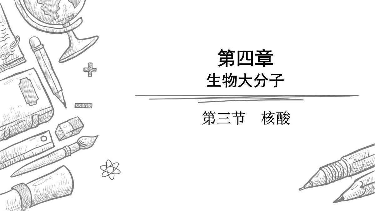 2024-2025学年高二化学选择性必修3人教版课件 4.3 核酸第1页