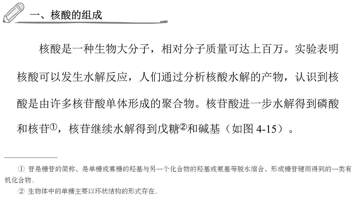 2024-2025学年高二化学选择性必修3人教版课件 4.3 核酸第3页
