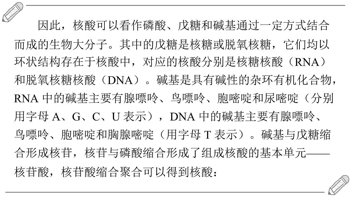 2024-2025学年高二化学选择性必修3人教版课件 4.3 核酸第5页