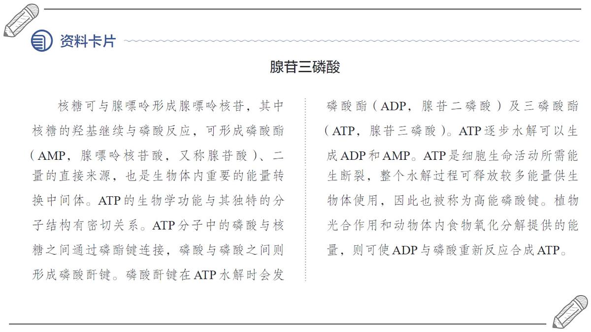 2024-2025学年高二化学选择性必修3人教版课件 4.3 核酸第8页