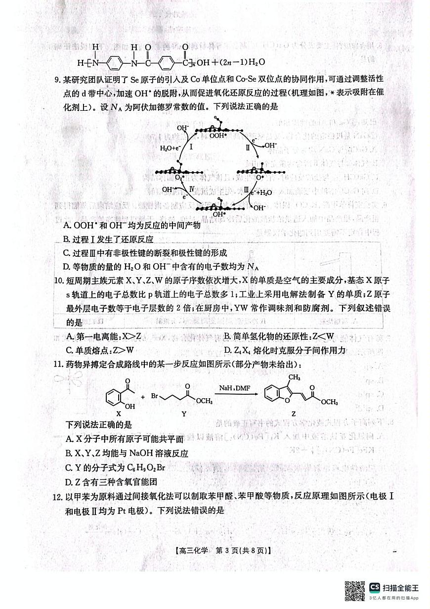2025辽阳高三下学期3月一模试题化学PDF版含答案第3页