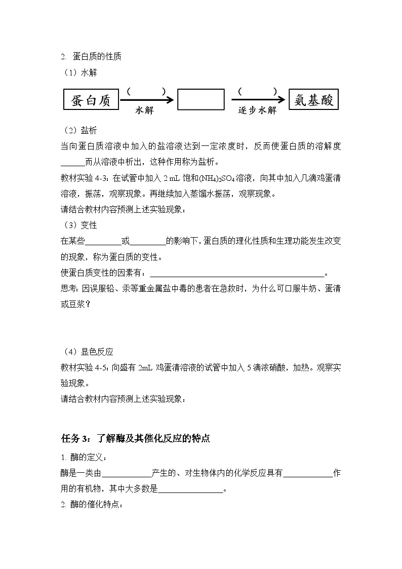 4.2 氨基酸 蛋白质 酶-学案设计第2页
