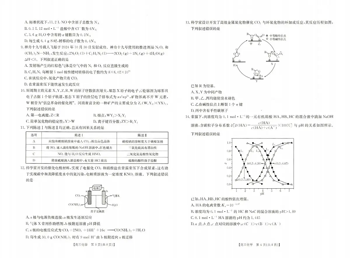 2024年河南新乡高三一模 化学试题（含答案）第2页