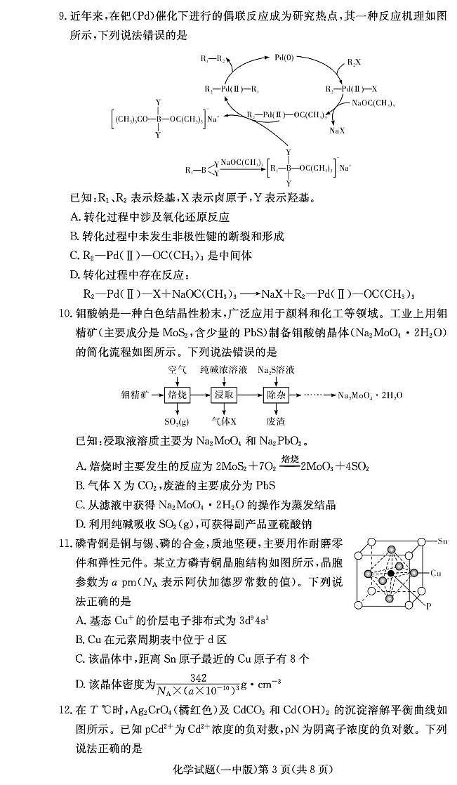 湖南长沙一中2025届高三月考（六)化学试题（含答案）第3页