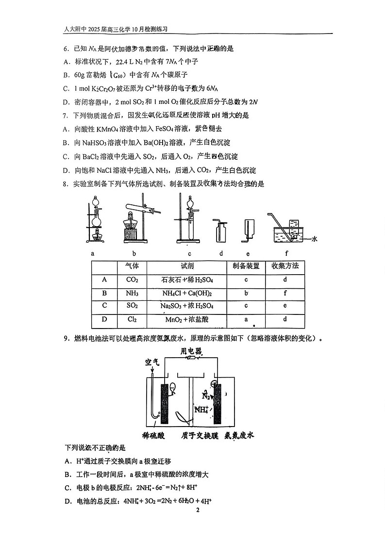 2025届北京市中国人民大学附中高三10月质检-化学试卷（含答案）第2页