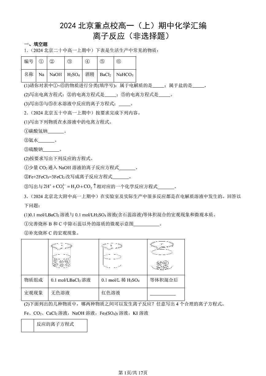 2024北京重点校高一（上）期中真题化学汇编：离子反应（非选择题）第1页